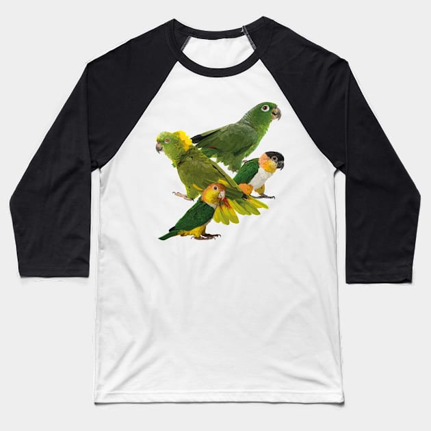 Parrots Baseball T-Shirt by obscurite